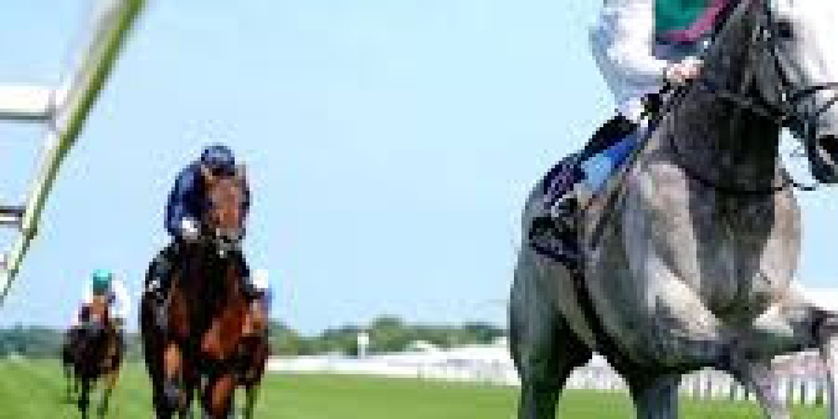 Royal Ascot 2025 Concludes with Thrilling Races - Royal Pageantry and Timeless Fashion | News