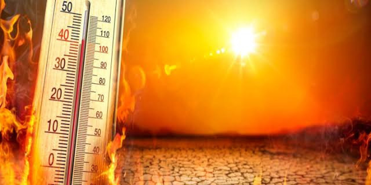 Global Heatwaves Prompt Urgent Health Warnings as Temperatures Soar | News