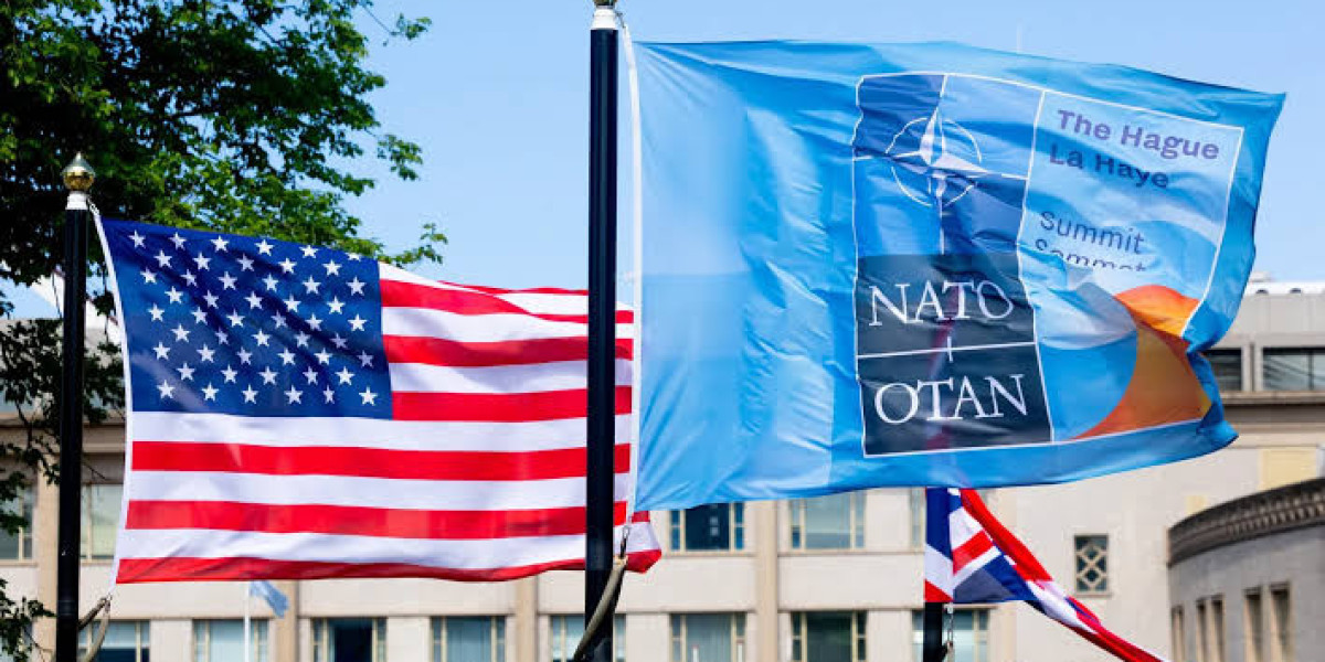 NATO Summit in The Hague Confronts Alliance's Future Amidst Defense Spending Disputes and Renewed Russian Threats |