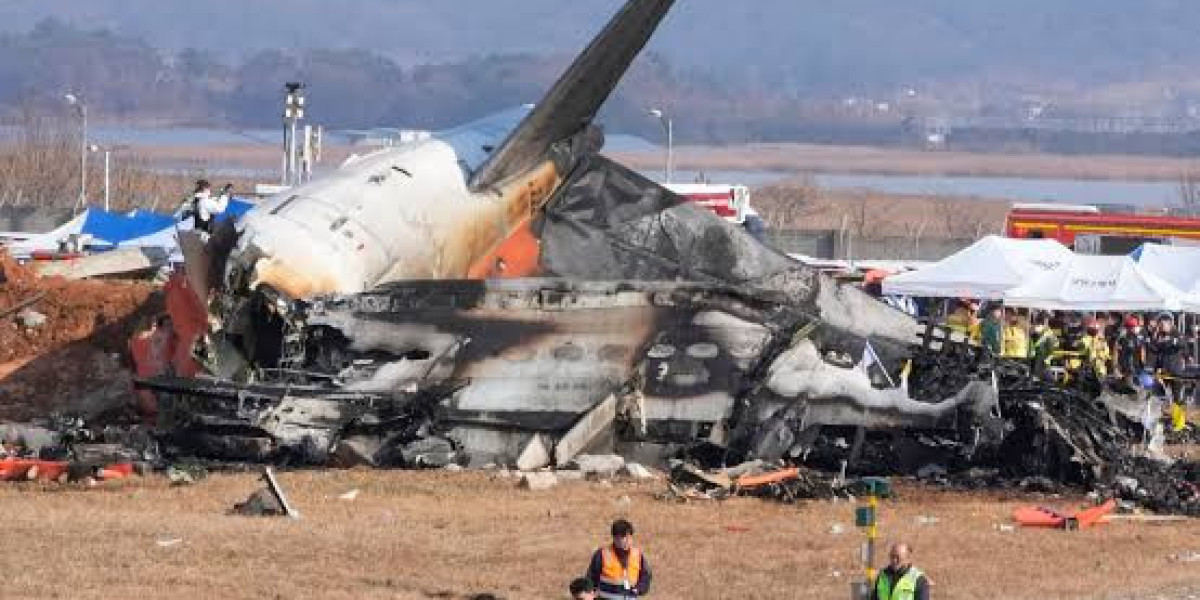 Tragic Jeju Air Crash in South Korea Claims 179 Lives - Investigation Points to Bird Strike | News