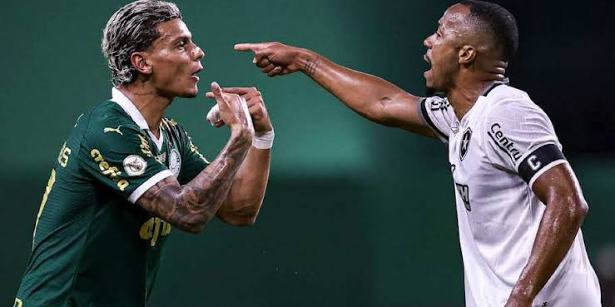 Paulinho's Extra-Time Strike Sends Palmeiras to Club World Cup Quarter-Finals in Gritty Clash Against Botafogo | Ne