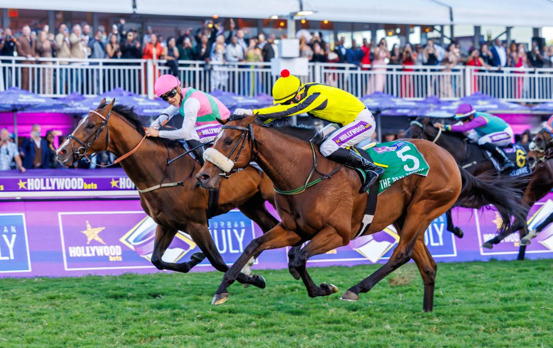 The Real Prince reigns supreme at Durban July  The Mail  Guardian