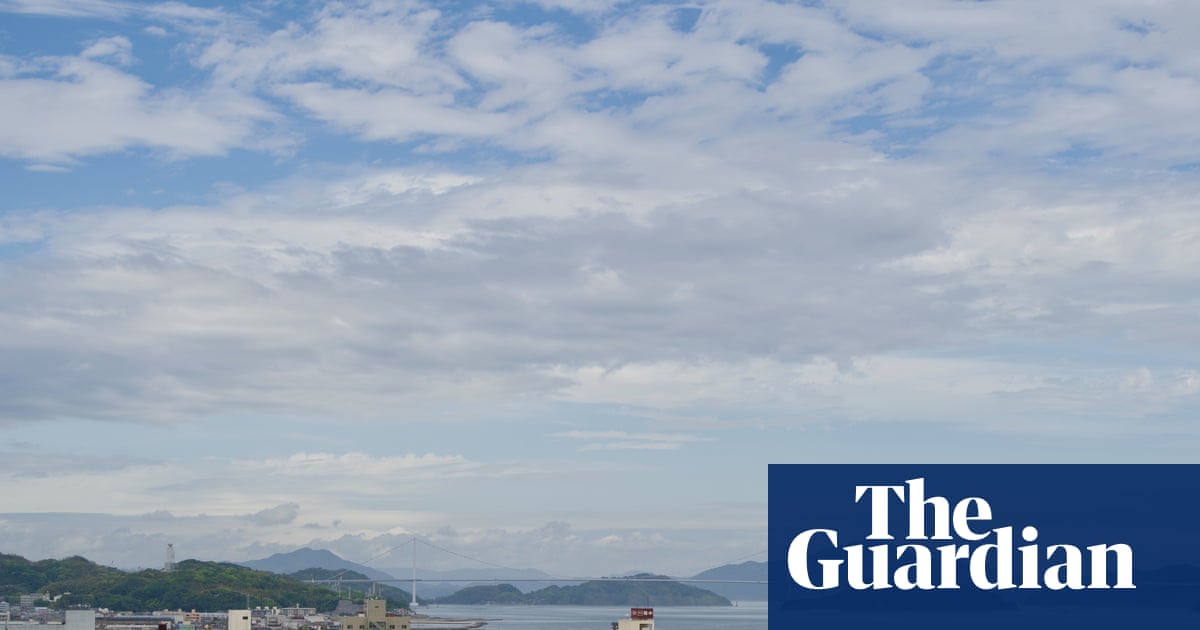 Attempt to partner African countries with Japanese cities triggers xenophobic backlash  | Japan | The Guardian