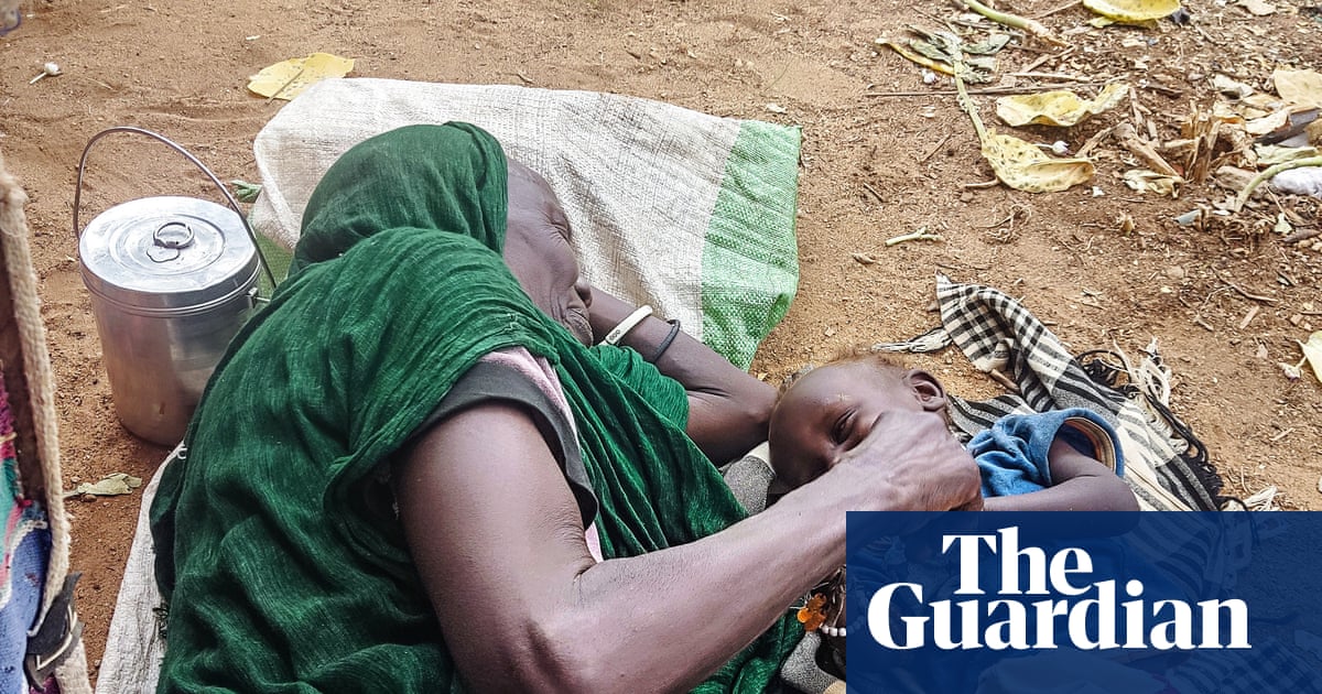 ‘A donkey cart out of El Fasher costs more than a new car’: how 500 days under siege is tearing the city apart | Global development | The Guardian