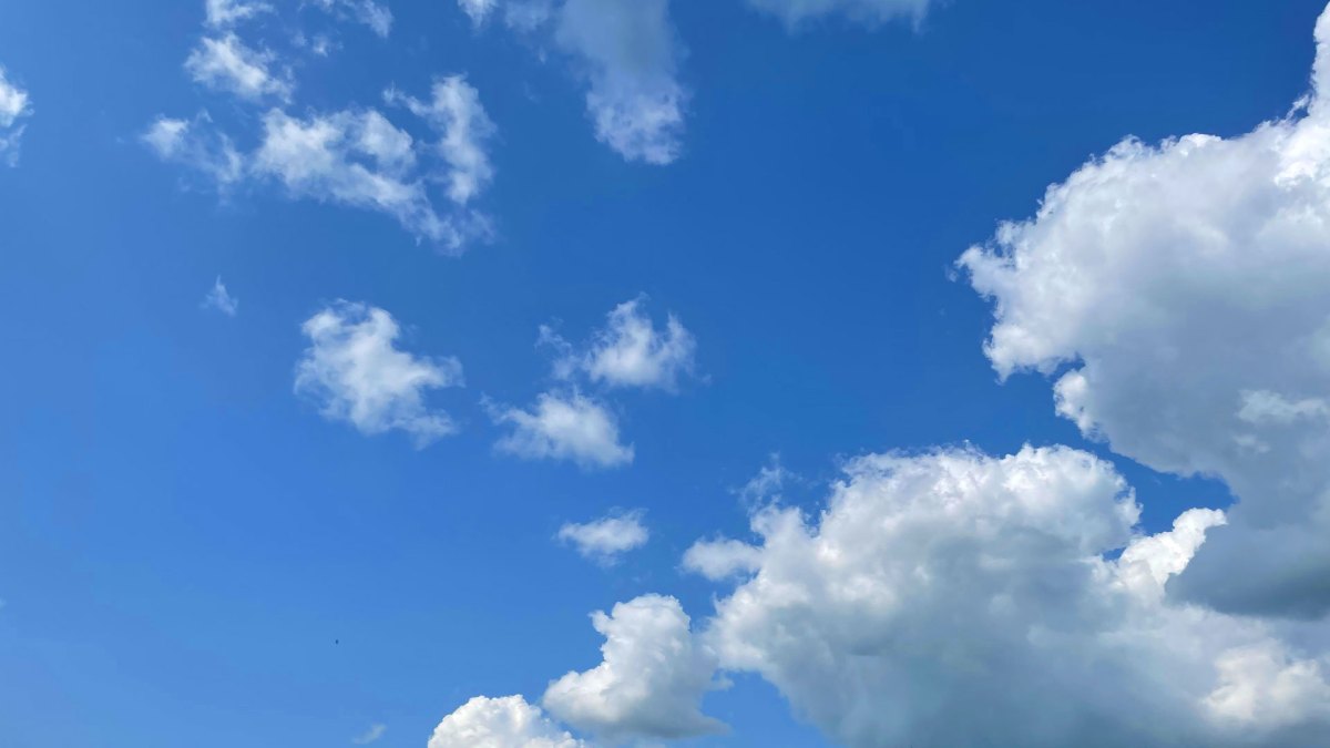 Waffles eat Bluesky | TechCrunch