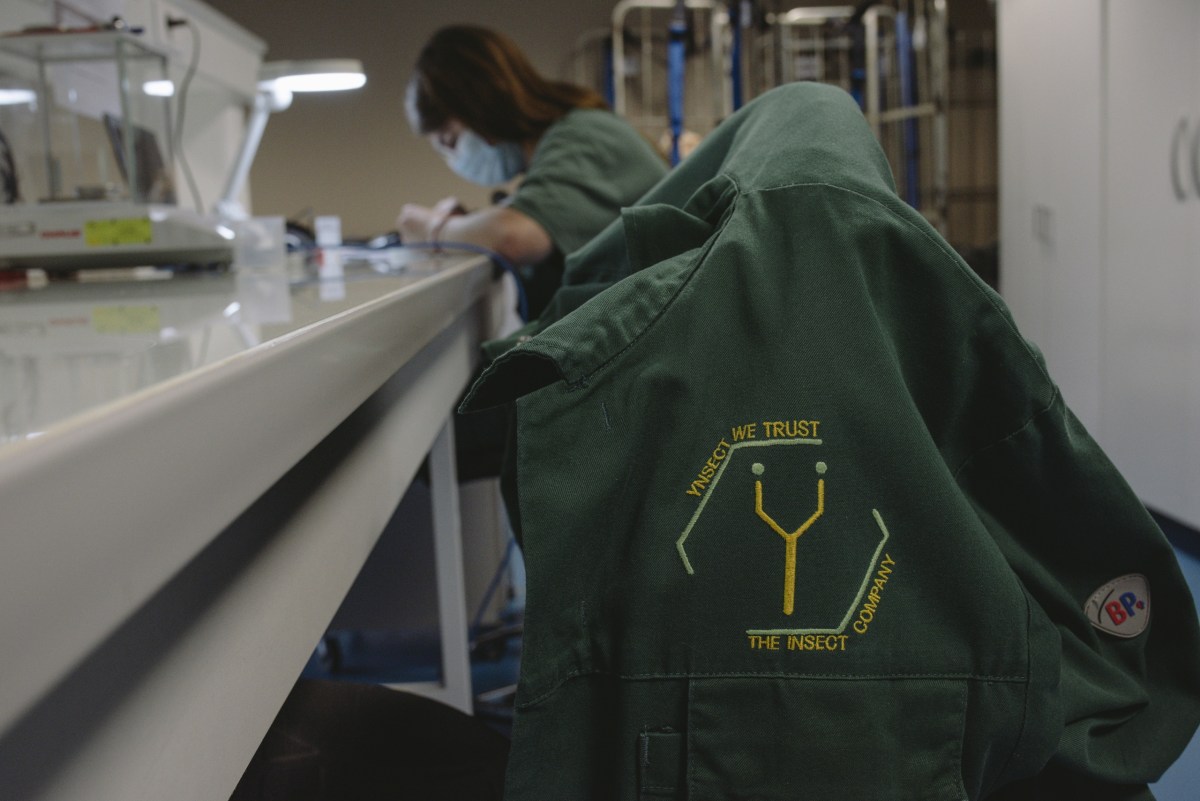 How reality crushed Ÿnsect, the French startup that had raised over $600M for insect farming | TechCrunch