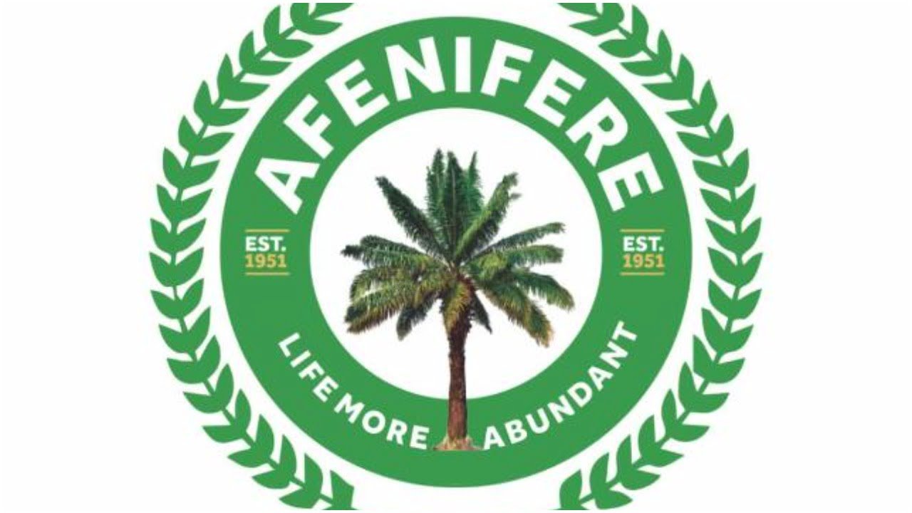 Afenifere frowns at attack on protesting women in Kwara