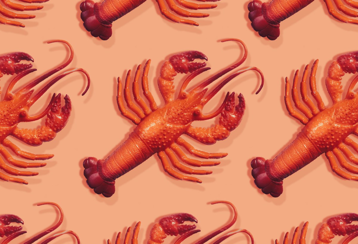 Everything you need to know about viral personal AI assistant Clawdbot (now Moltbot) | TechCrunch