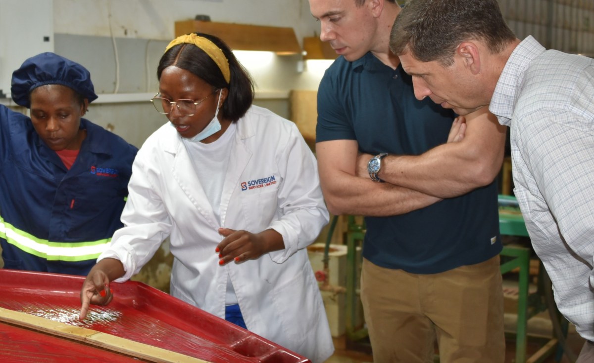 Africa: Former CIA Analyst Now Top U.S. Africa Official at State; Dealmaking Dominates as Conflicts Spread - allAfrica.com