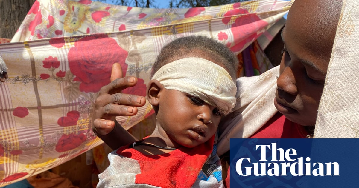 RSF siege of El Fasher in Sudan has ‘hallmarks of genocide’, UN mission finds | Sudan | The Guardian