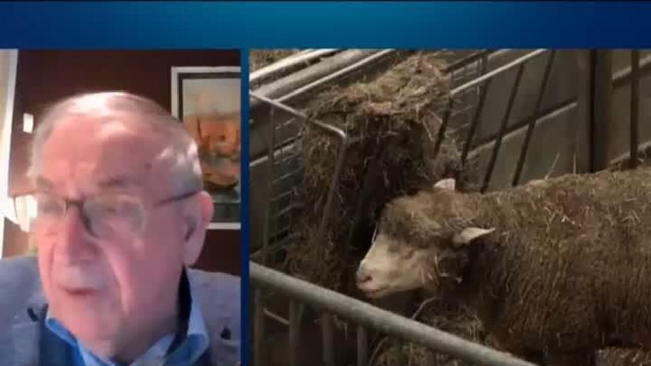 French farming crisis a result of ‘15 years of failure’ in policy, expert says - France 24