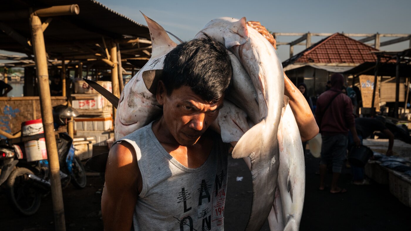 Photos: The crisis of overfishing in Southeast Asia : The Picture Show : NPR