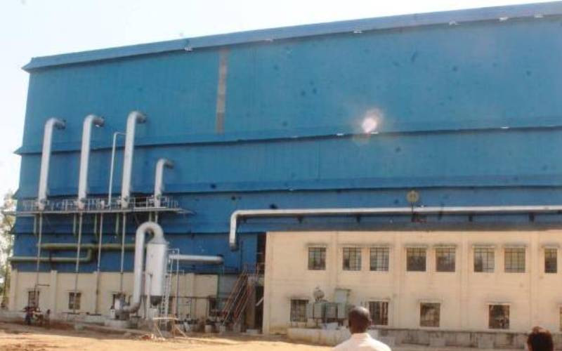 From factory to table: How raw industrial sugar is being repackaged for the kitchen  - The Standard