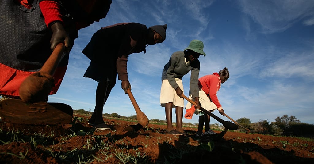 Zimbabwe to return 67 farms seized under Mugabe-era land reforms | Africanews