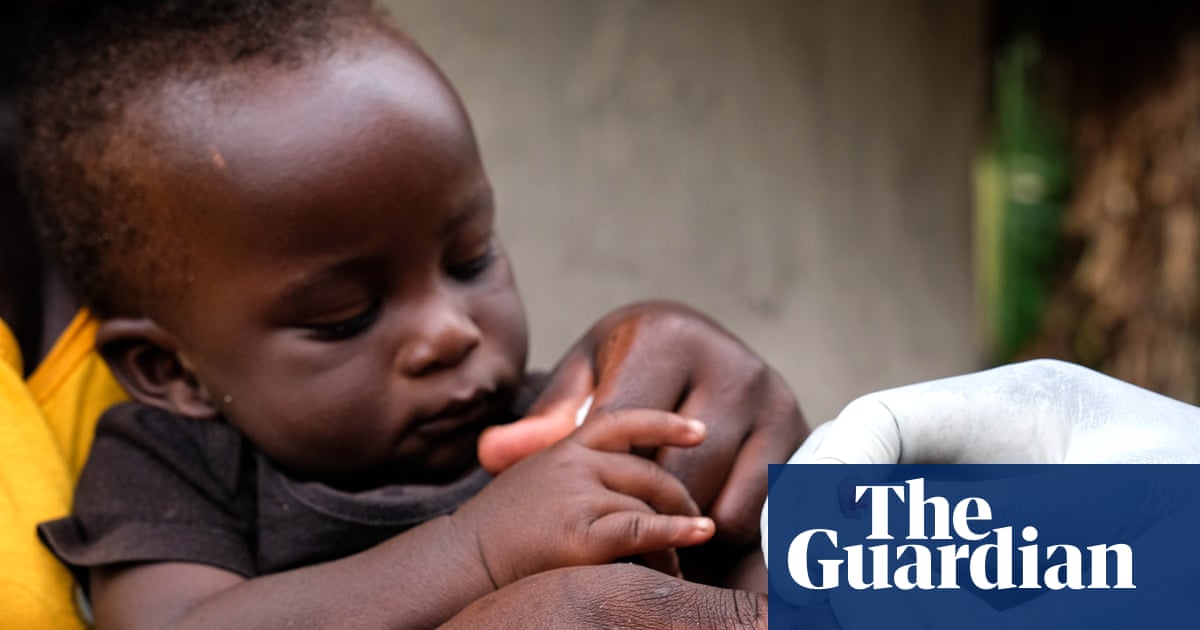 Catnip lotion as effective as Deet at repelling mosquitoes, study finds | Global health | The Guardian